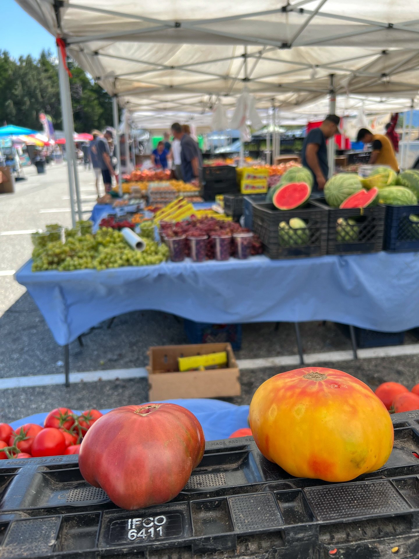 533372824_17866037694432645_2073992368309655605_n - California Farmers Market Collective Consumer Choices of fresh food.