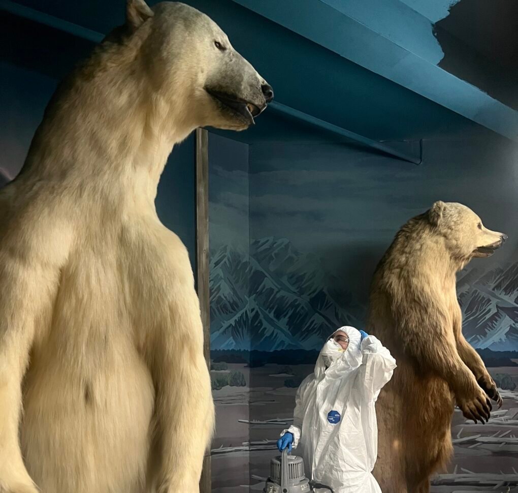 535004637_1223861693091271_5820450407403435285_n