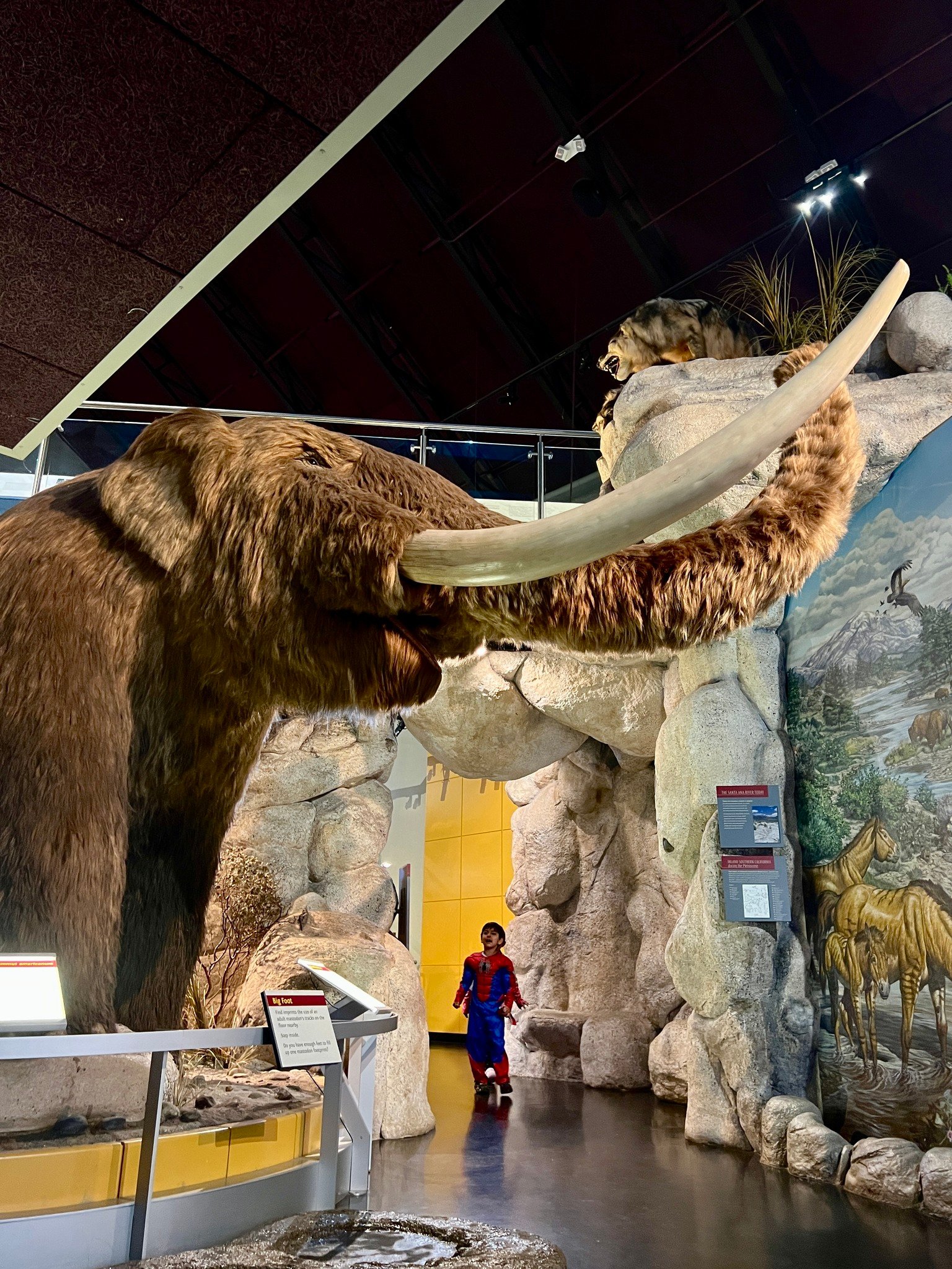 535428903_1223861726424601_3500641038132933936_n