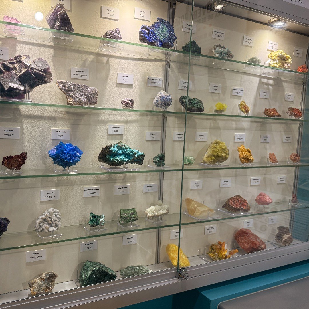 543371325_1238500684960705_7097129981975753880_n