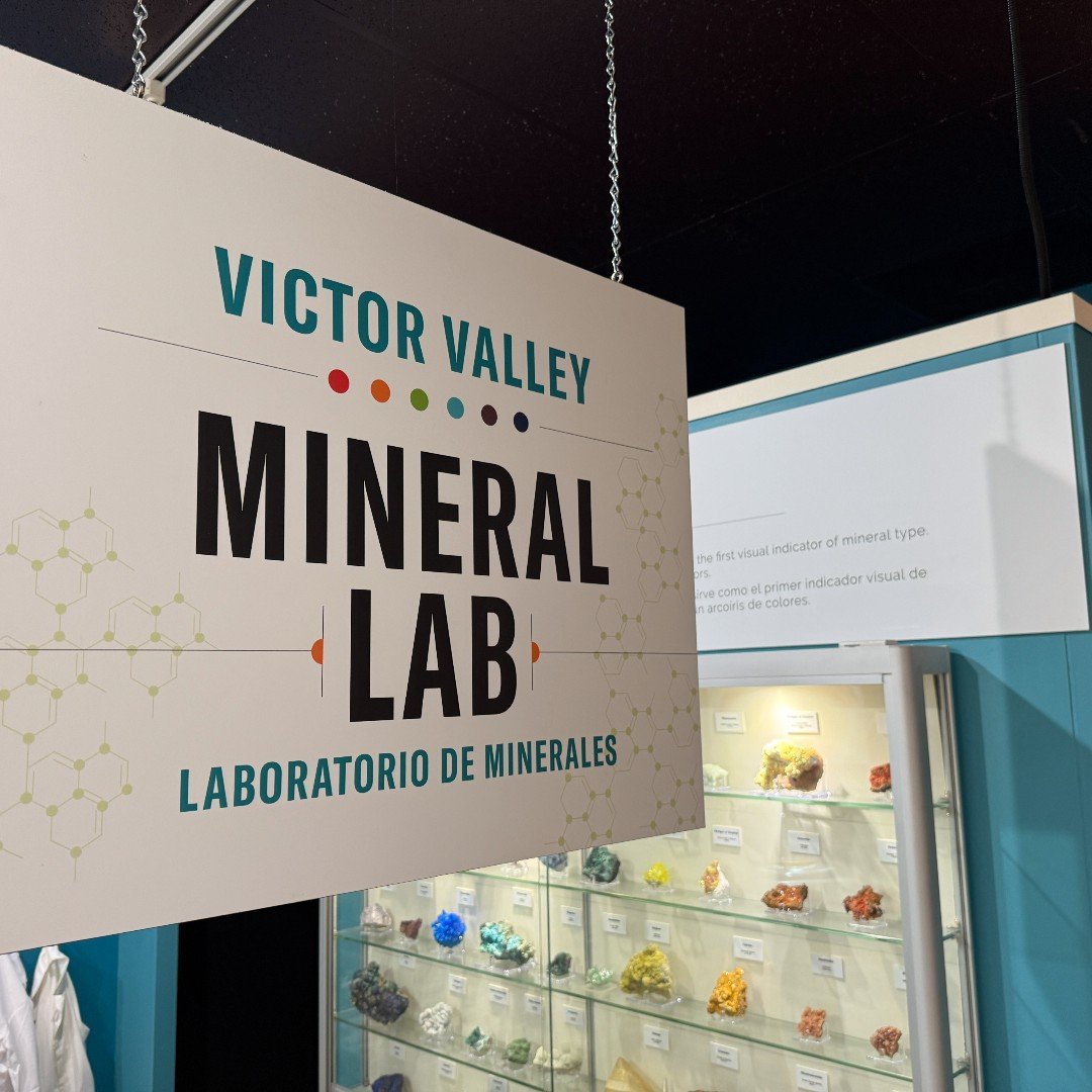 545375053_1238500688294038_2026716831281416437_n