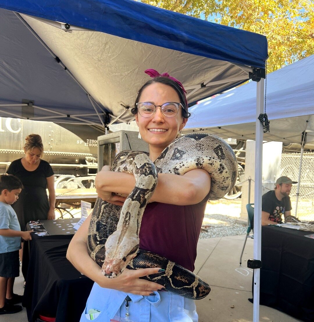 550176996_1252185170258923_2807901758665604926_n