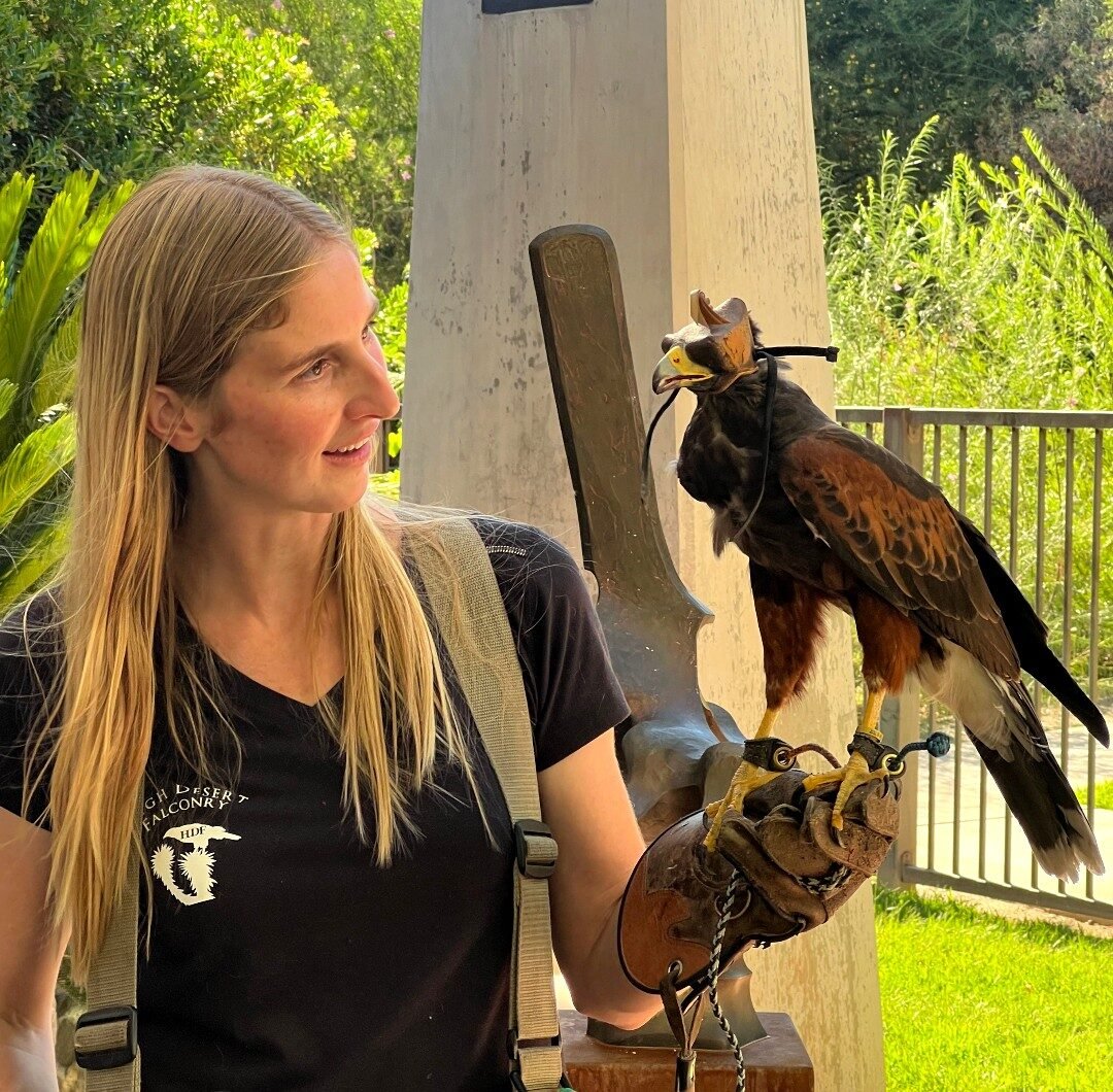 550454970_1252185163592257_7602001540119252821_n