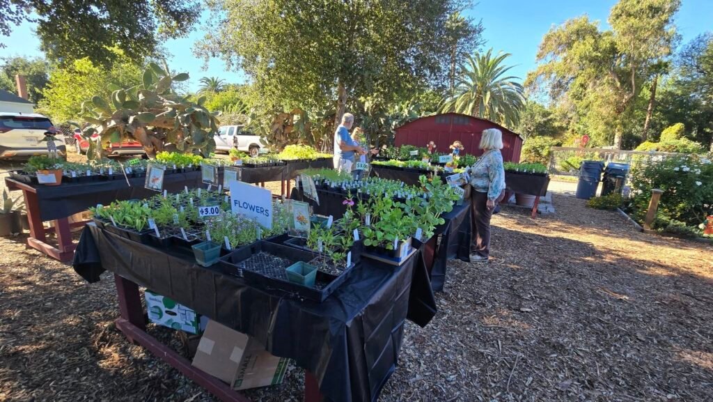 555953161_1216234087203589_1264744876283656652_n - California Farmers Market Collective Plant sale by the Master Gardiners