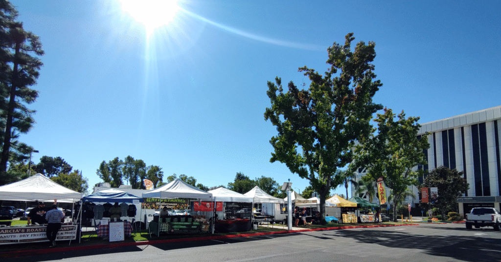 Fresh food at the Market