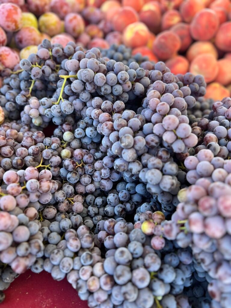 Grapes at the Farmers Market