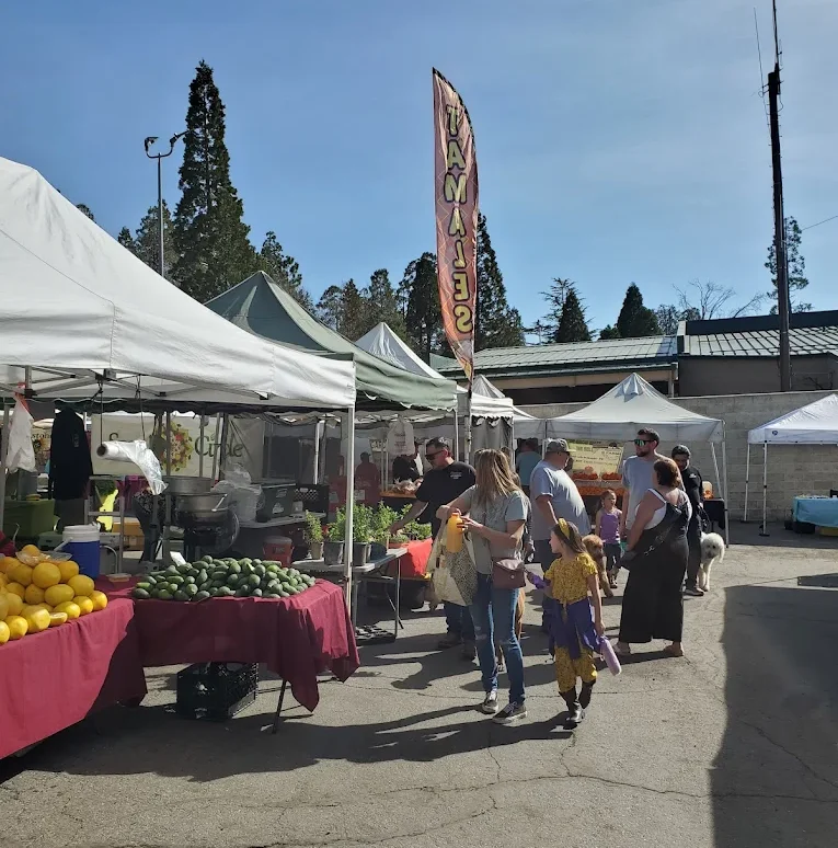 Farmers Markets
