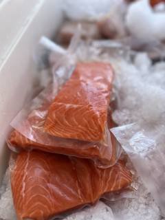 Fresh Salmon