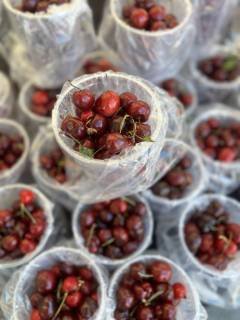 Red Cherries