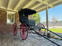 Horse Drawn Buggy