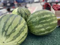 Watermelons