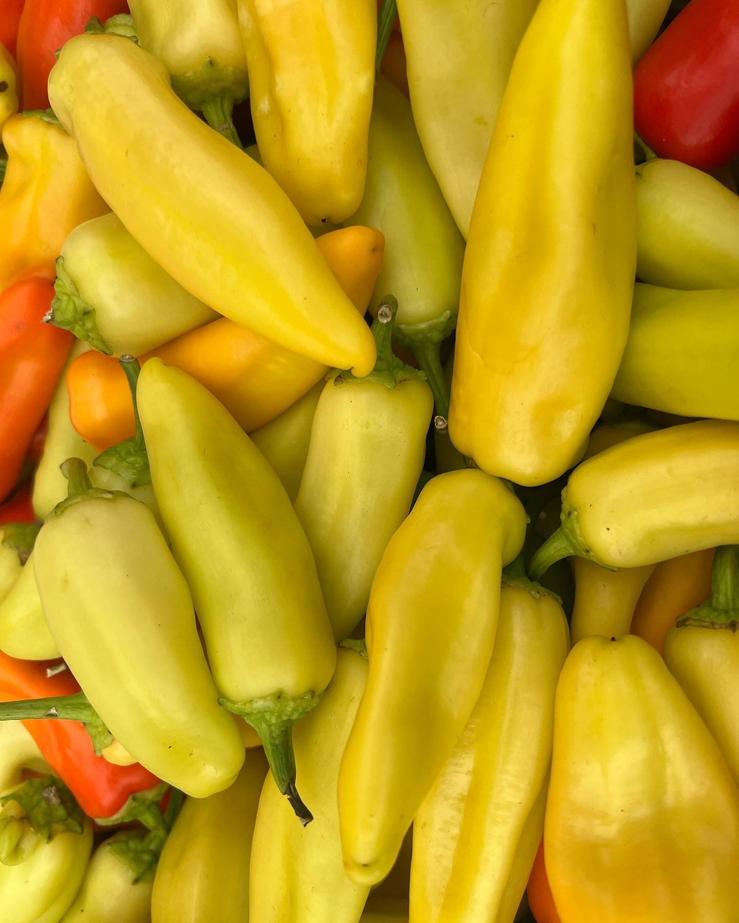 Yellow and red peppers