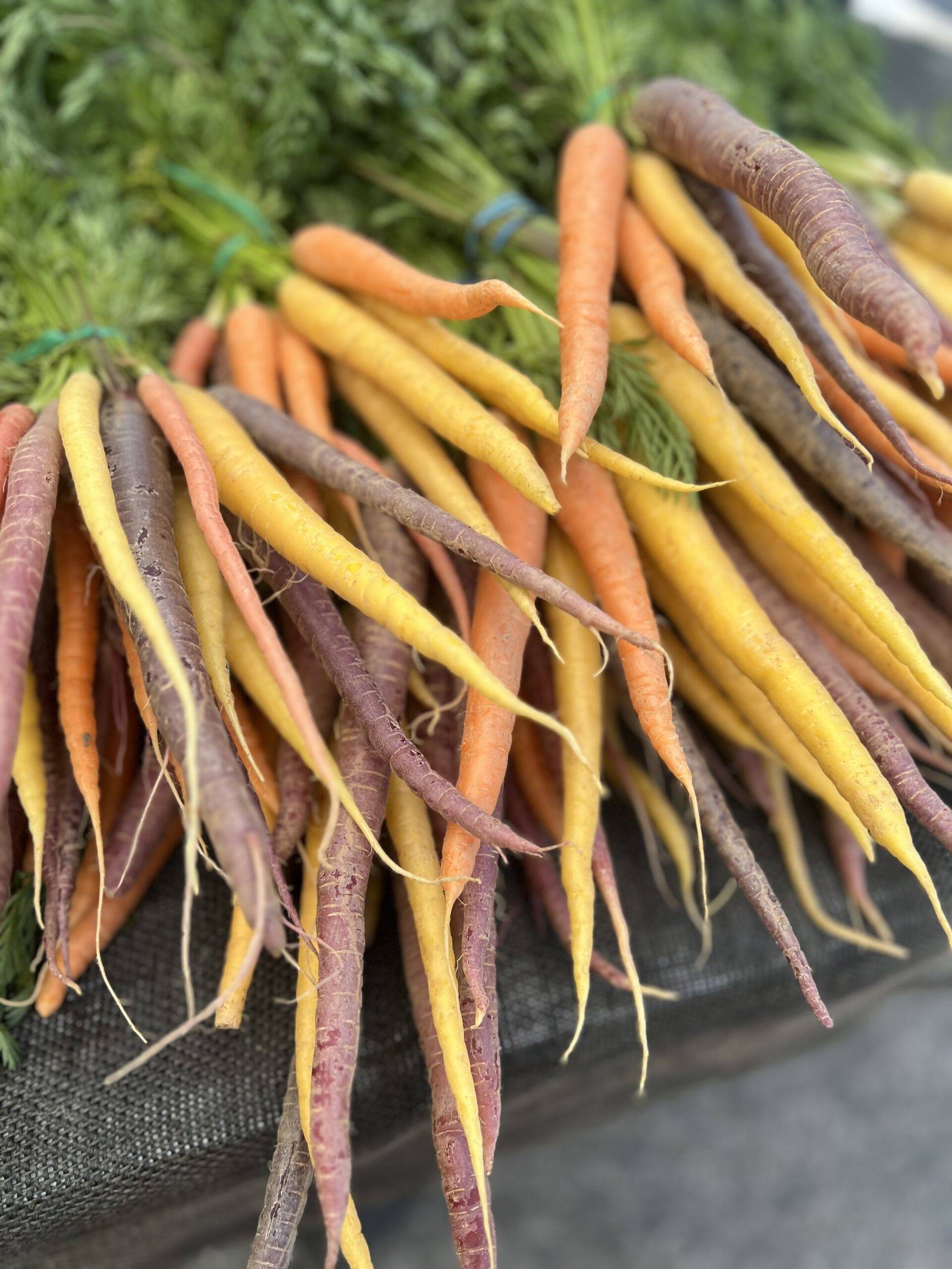 colorful carrots