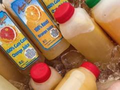 Fresh Squeezed Orange Juice