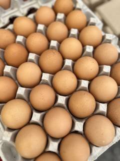 Farm Fresh Eggs